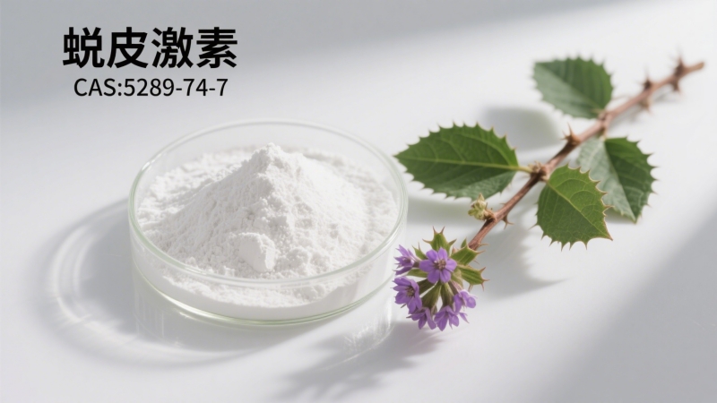 Ecdysterone  CAS 5289-74-7